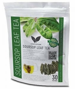 100% Pure Soursop/Graviola/Guanabana Herbal Tea Leaf with 30 Bags (Annona muricata)
