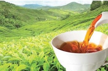 Ceylon tea